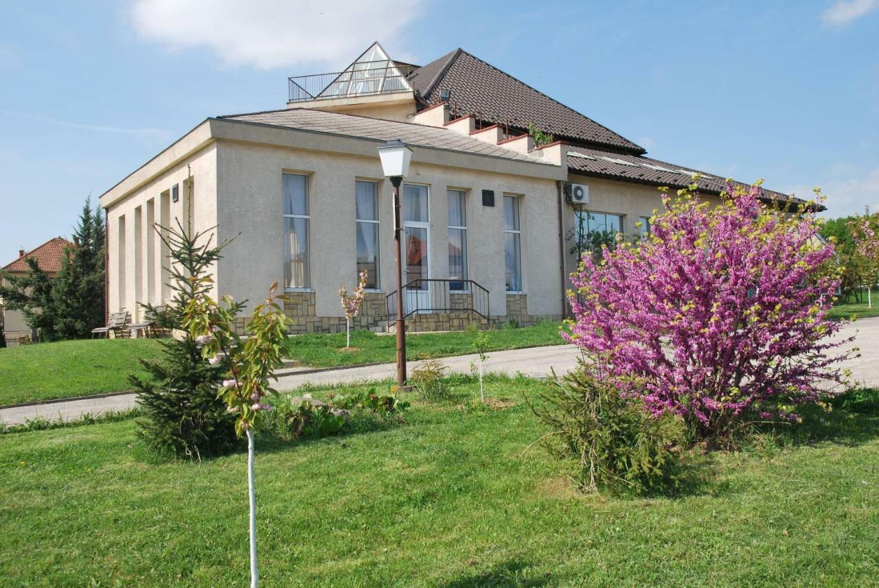 Guest House Uzhgorod Zewnętrze zdjęcie